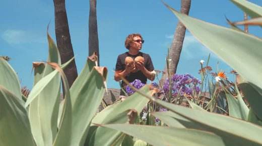 Vissla Upcycled Coconut Boardshorts